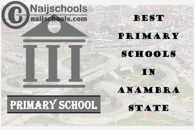 11 of the Best Primary Schools to Attend in Anambra State | No. 9’s the Best
