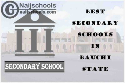13 of the Best Secondary Schools to Attend in Bauchi State Nigeria | No. 8’s the Best