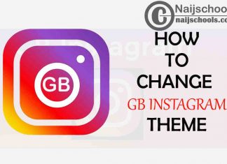 How to Download and Change the GB Instagram App Theme