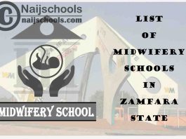 Full List of Accredited Midwifery Schools in Zamfara State Nigeria
