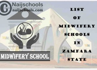 Full List of Accredited Midwifery Schools in Zamfara State Nigeria