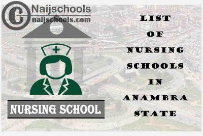 Complete List of Accredited Nursing Schools in Anambra State Nigeria