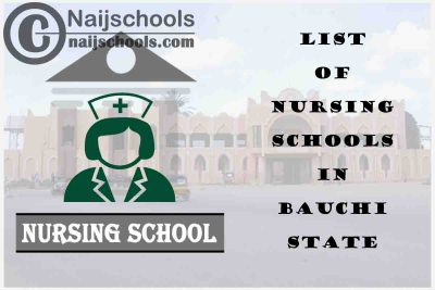 Complete List of Accredited Nursing Schools in Bauchi State Nigeria