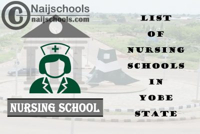 Complete List of Accredited Nursing Schools in Yobe State Nigeria