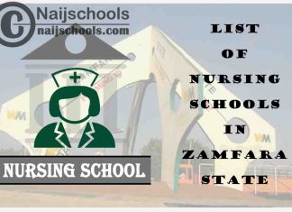 Complete List of Accredited Nursing Schools in Zamfara State Nigeria