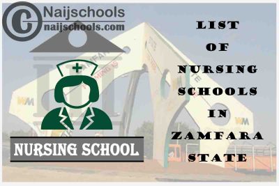 Complete List of Accredited Nursing Schools in Zamfara State Nigeria