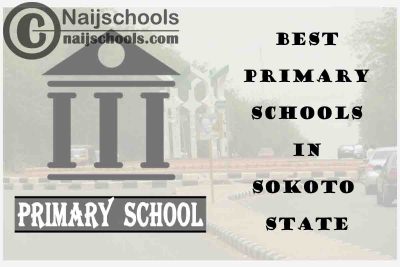 11 of the Best Primary Schools to Attend in Sokoto State Nigeria | No. 5’s Top-Notch