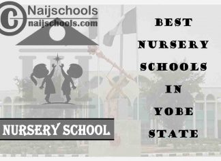11 of the Best Nursery Schools in Yobe State Nigeria | No. 8’s the Best