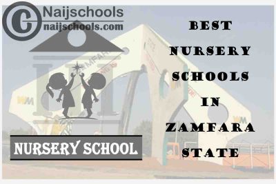 11 of the Best Nursery Schools in Zamfara State Nigeria | No. 3’s the Best