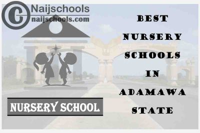 11 of the Best Nursery Schools in Adamawa State Nigeria | No. 6’s the Best