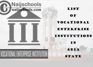 Full List of Accredited Vocational Enterprise Institutions in Abia State Nigeria