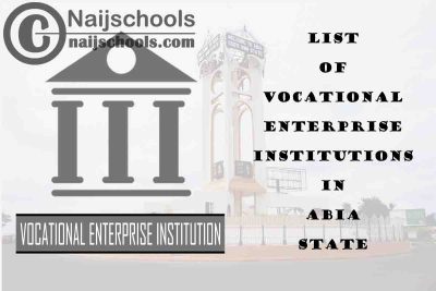 Full List of Accredited Vocational Enterprise Institutions in Abia State Nigeria