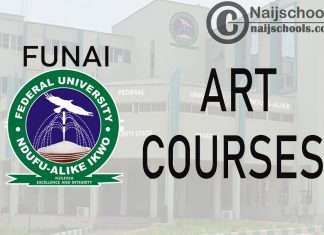 Full List of Art Courses Offered in FUNAI (Federal University Ndufu Alike, Ikwo) and their Admission Requirement