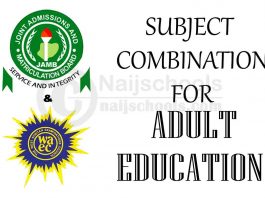 Subject Combination for Adult Education