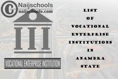 Full List of Vocational Enterprise Institutions in Anambra State Nigeria