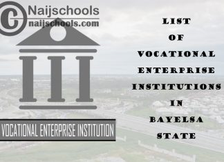 Full List of Vocational Enterprise Institutions in Bayelsa State Nigeria