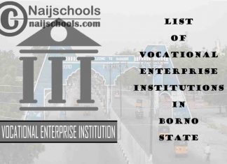 Full List of Vocational Enterprise Institutions in Borno State Nigeria