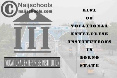 Full List of Vocational Enterprise Institutions in Borno State Nigeria