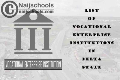 Full List of Vocational Enterprise Institutions in Delta State Nigeria