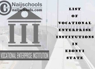 Full List of Vocational Enterprise Institutions in Ebonyi State Nigeria