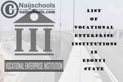 Full List of Vocational Enterprise Institutions in Ebonyi State Nigeria