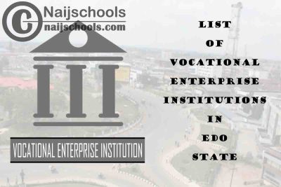 Full List of Vocational Enterprise Institutions in Edo State Nigeria