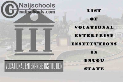 Full List of Vocational Enterprise Institutions in Enugu State Nigeria