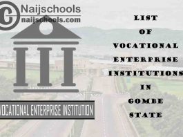 Full List of Vocational Enterprise Institutions in Gombe State Nigeria