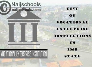Full List of Vocational Enterprise Institutions in Imo State Nigeria
