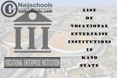 Full List of Vocational Enterprise Institutions in Kano State Nigeria