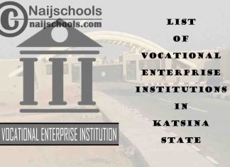 Full List of Vocational Enterprise Institutions in Katsina State Nigeria