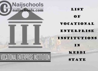 Full List of Vocational Enterprise Institutions in Kebbi State Nigeria