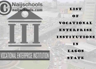 Full List of Vocational Enterprise Institutions in Lagos State Nigeria