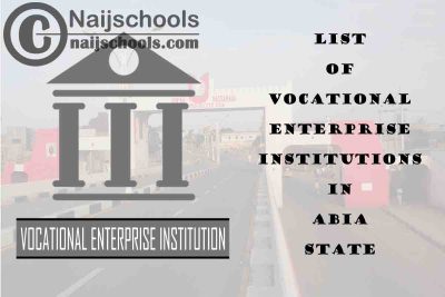 Full List of Vocational Enterprise Institutions in Nasawara State Nigeria