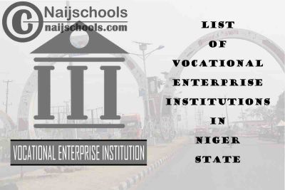 Full List of Vocational Enterprise Institutions in Niger State Nigeria