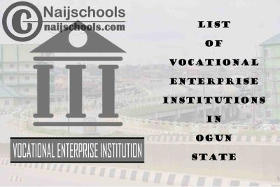 Full List of Vocational Enterprise Institutions in Ogun State Nigeria