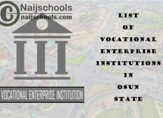 Full List of Vocational Enterprise Institutions in Osun State Nigeria