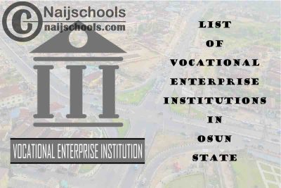 Full List of Vocational Enterprise Institutions in Osun State Nigeria