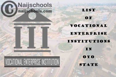 Full List of Vocational Enterprise Institutions in Oyo State Nigeria