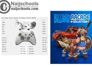Blizzard Arcade Collection X360ce Settings for Any PC Gamepad Controller | TESTED & WORKING