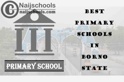 11 of the Best Primary Schools to Attend in Borno State Nigeria | No. 8’s Top-Notch
