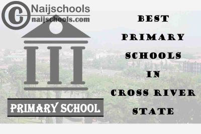 11 of the Best Primary Schools to Attend in Cross River State Nigeria | No. 7’s Top-Notch