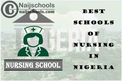 Top 20 of the Best Schools of Nursing to Attend in Nigeria this Year 2021