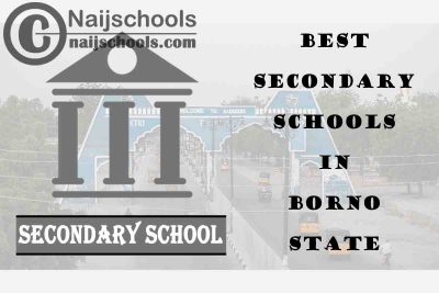 13 of the Best Secondary Schools to Attend in Borno State Nigeria | No. 2’s the Best