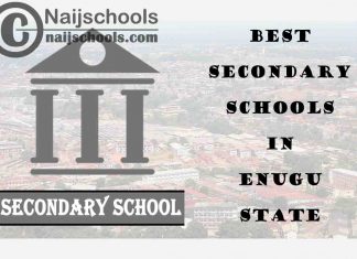 15 of the Best Secondary Schools to Attend in Enugu State Nigeria | No. 7’s the Best