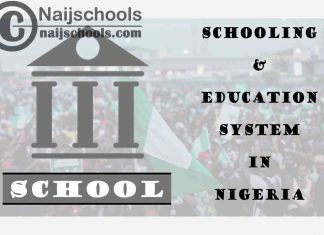 Everything You Need to Know About the School & Education System in Nigeria