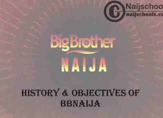 History & Objectives of Big Brother Naija (BBNaija) | ALL YOU NEED TO KNOW