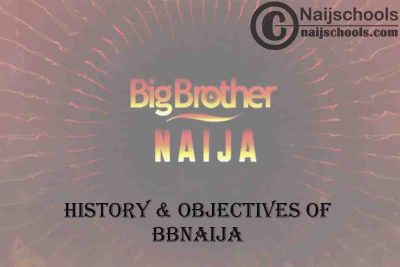 History & Objectives of Big Brother Naija (BBNaija) | ALL YOU NEED TO KNOW