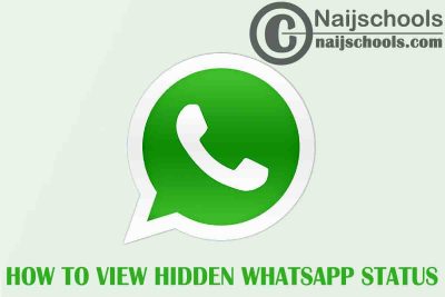 How to View Someone's Hidden or Blocked WhatsApp Status