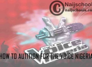 How to Apply/Register and Audition for The Voice Nigeria 2021